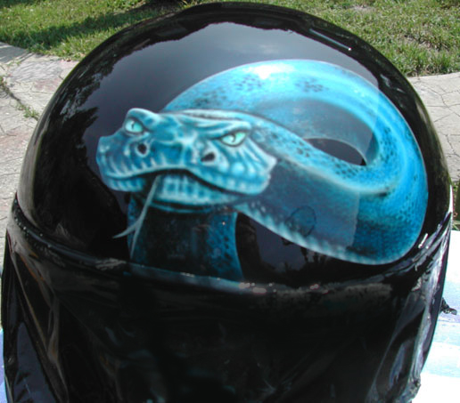 Viper on helmet