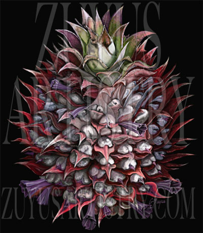 pineapple flowering/zuyus